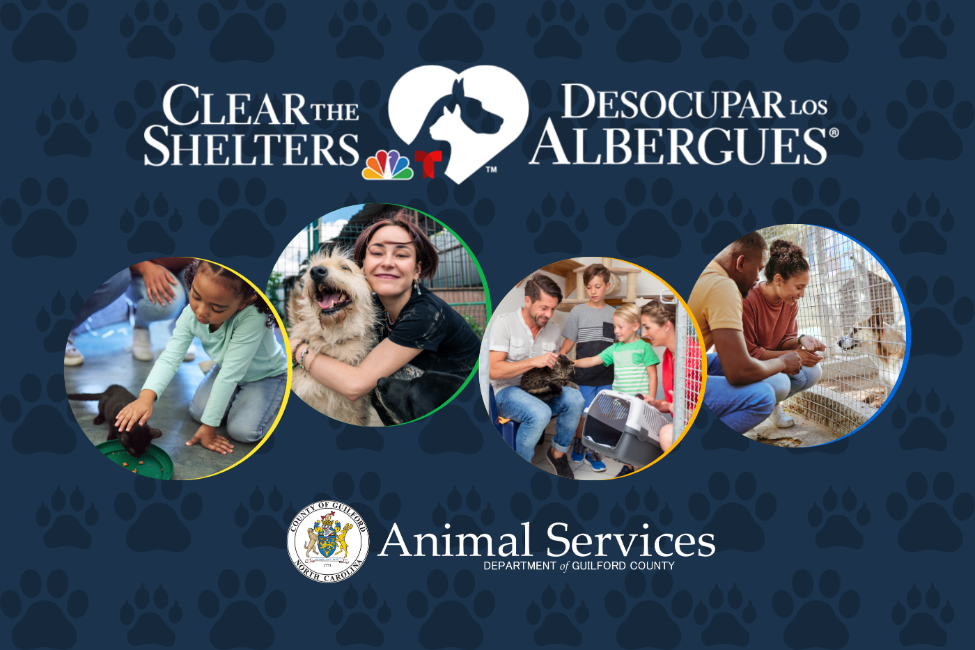 Clear the Shelter