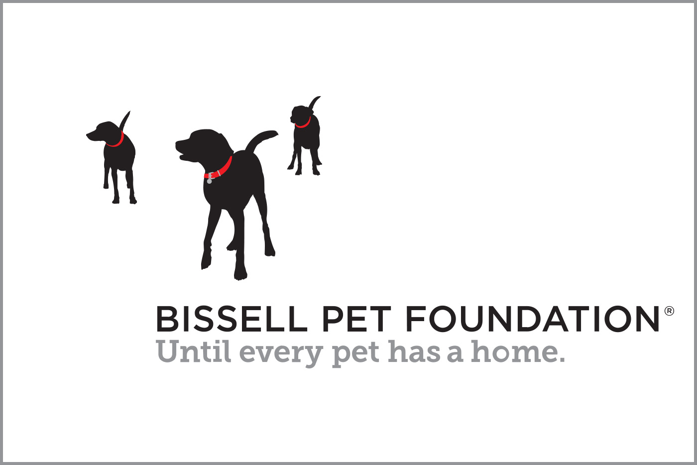 Bissell Pet Foundation - Until every pet has a home.