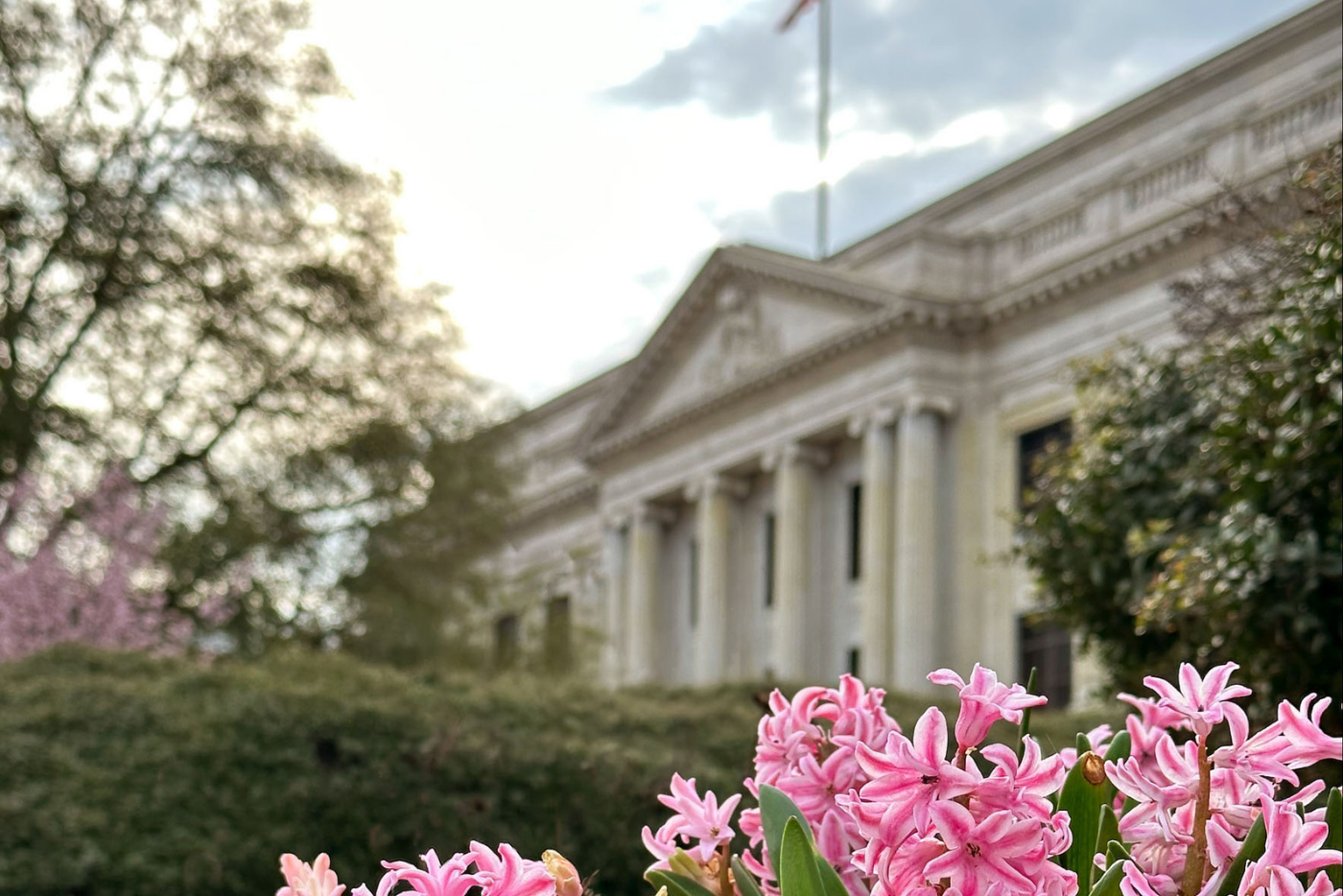 The front of the old Guilford County Courthouse with pink spring flowers in bloom in the foreground.