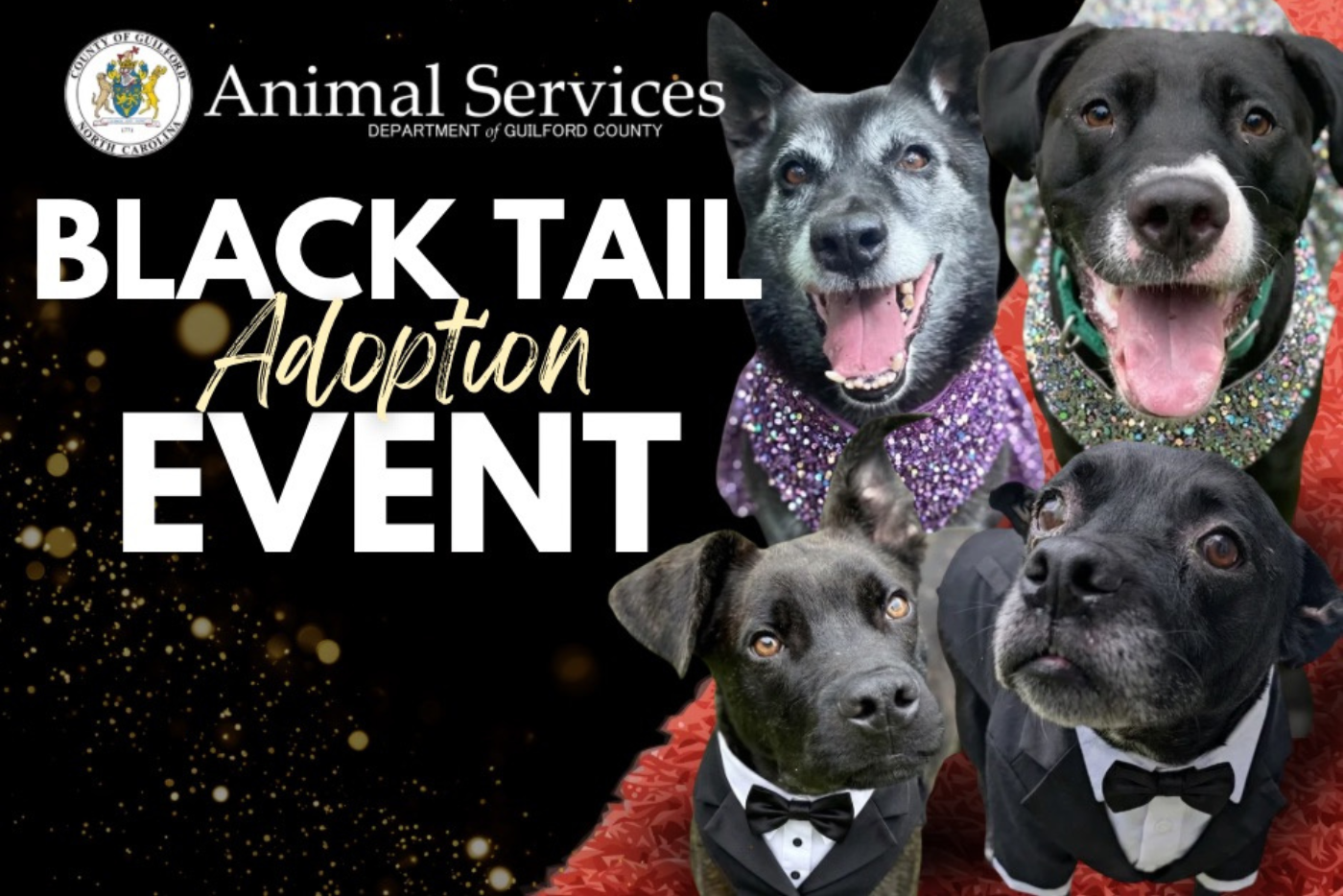 Black Tail Adoption Event