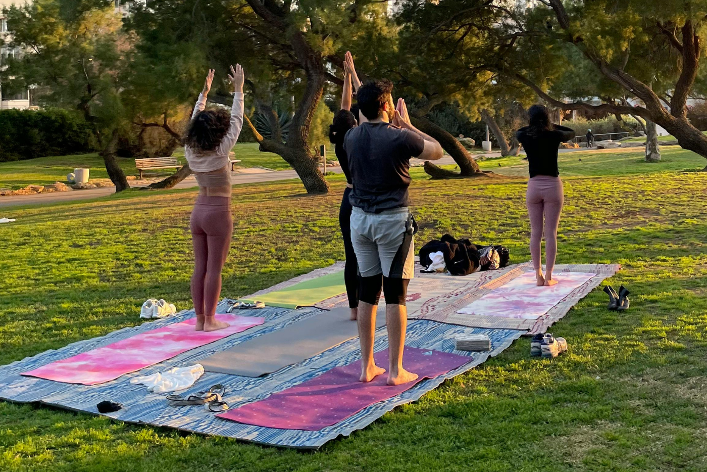 A group of people practicing yoga on mats in a sunny park, surrounded by trees and green grass.