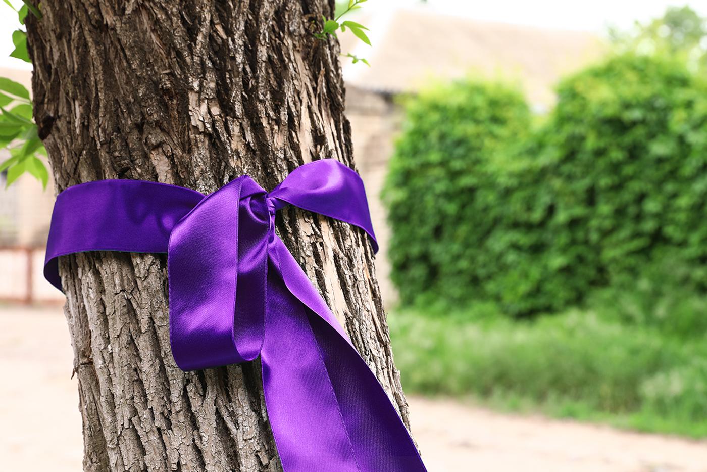 A tree with a purple ribbon tied around it's trunk in a park.