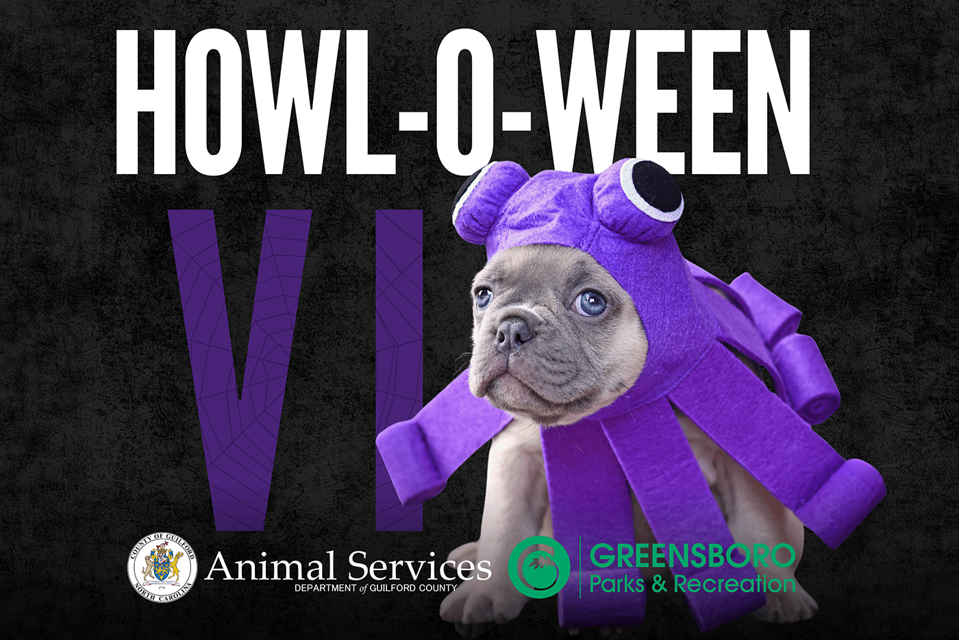 Small, gray dog in a purple octopus costume for Howl-O-Ween event.