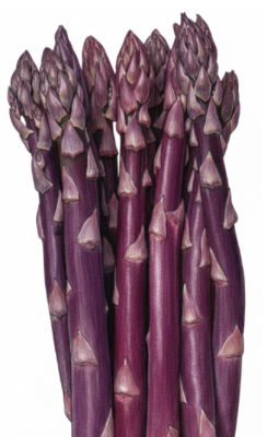 Purple asparagus stalks.
