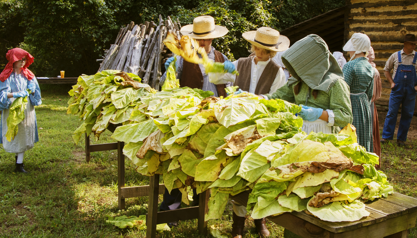 Plan Your Visit NC Historic Sites