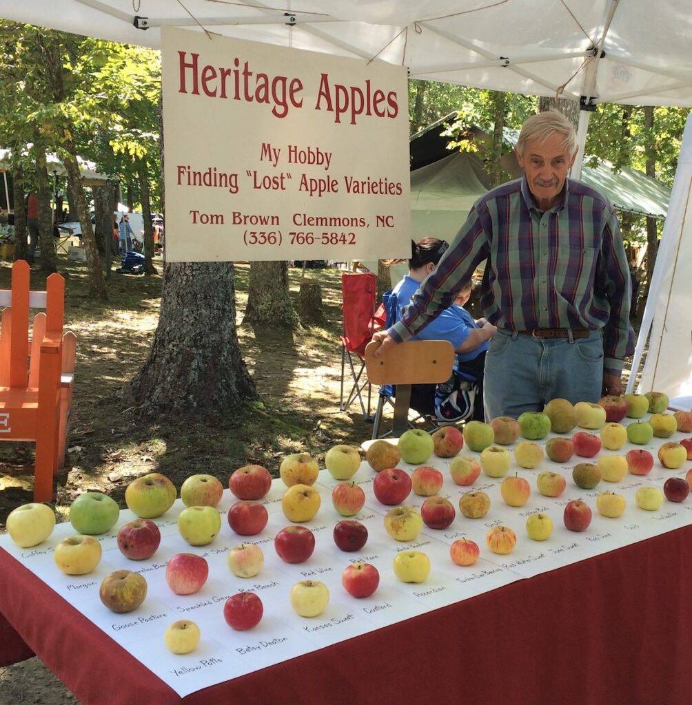 Tom Brown with a display of heritage apples