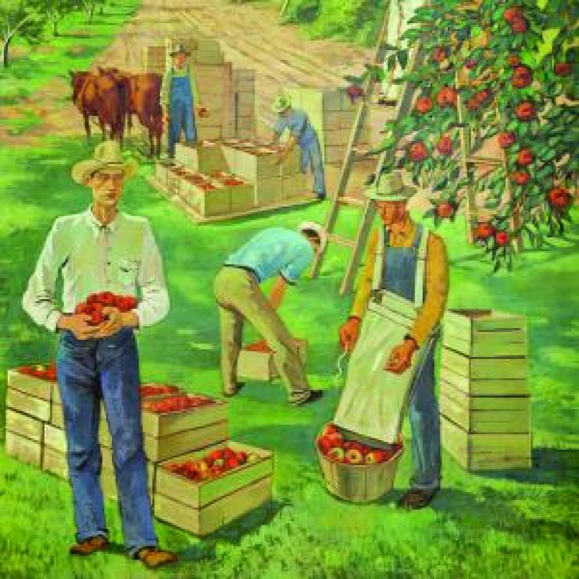 Painting of people harvesting apples