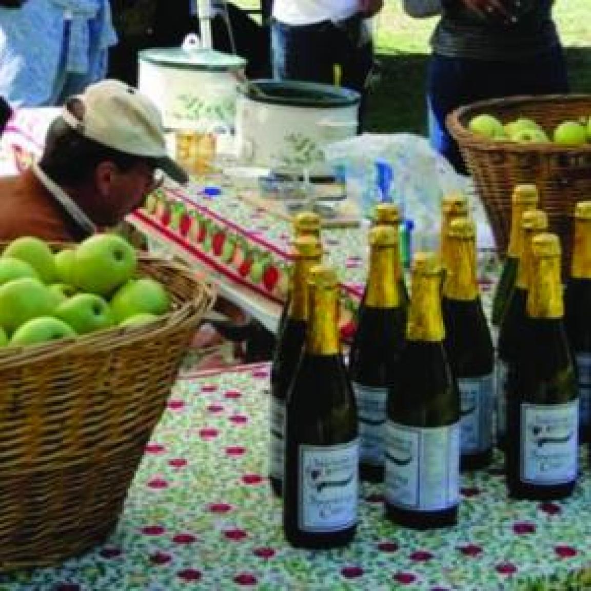 Bottles of apple cider and a basket of apples on a table