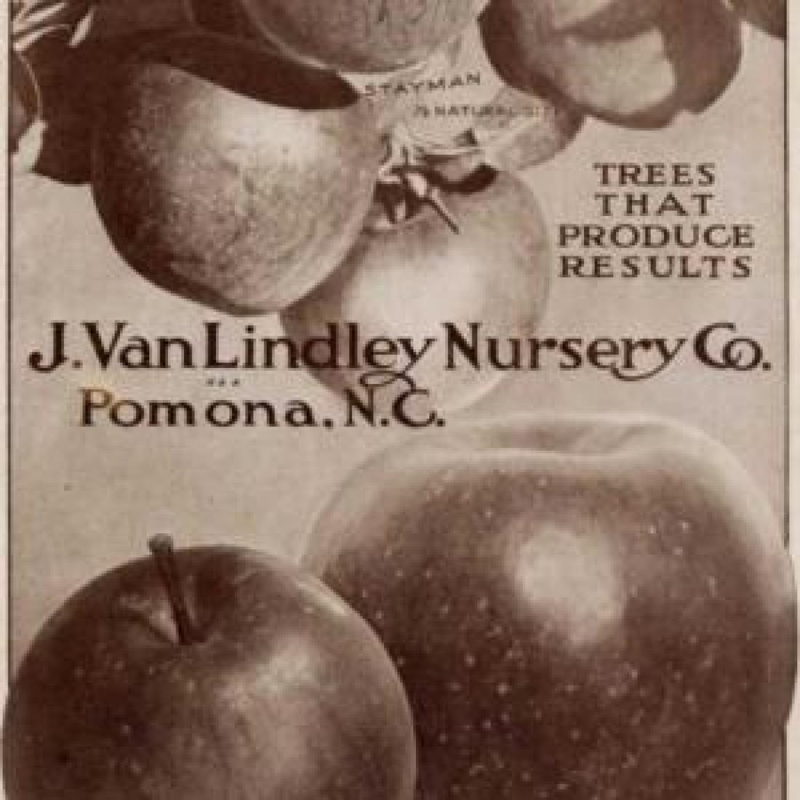 Vintage catalog cover for J Van Lindley Nursery Co of Pomona NC