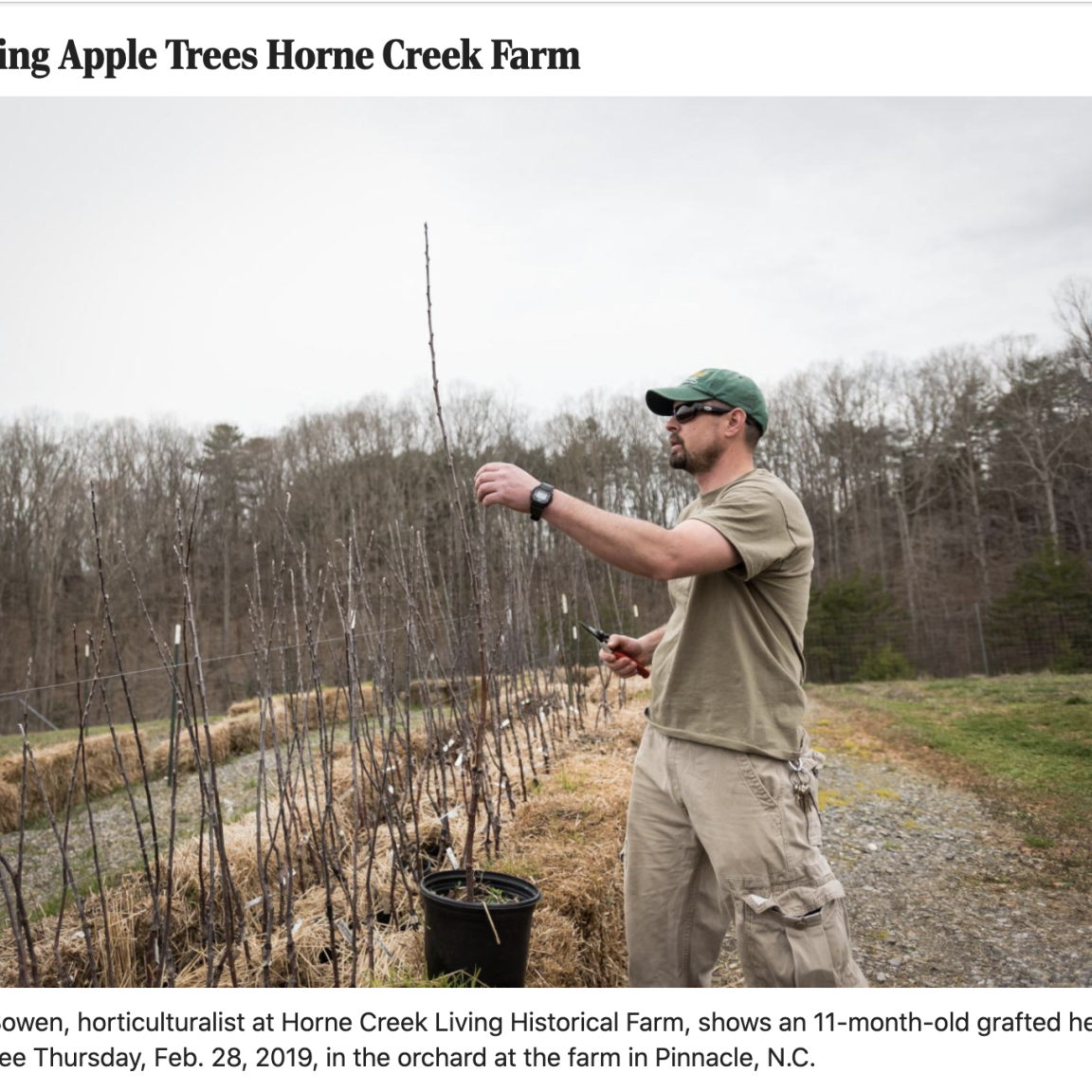 Article with headline Grafting Apple Trees Horne Creek Farm