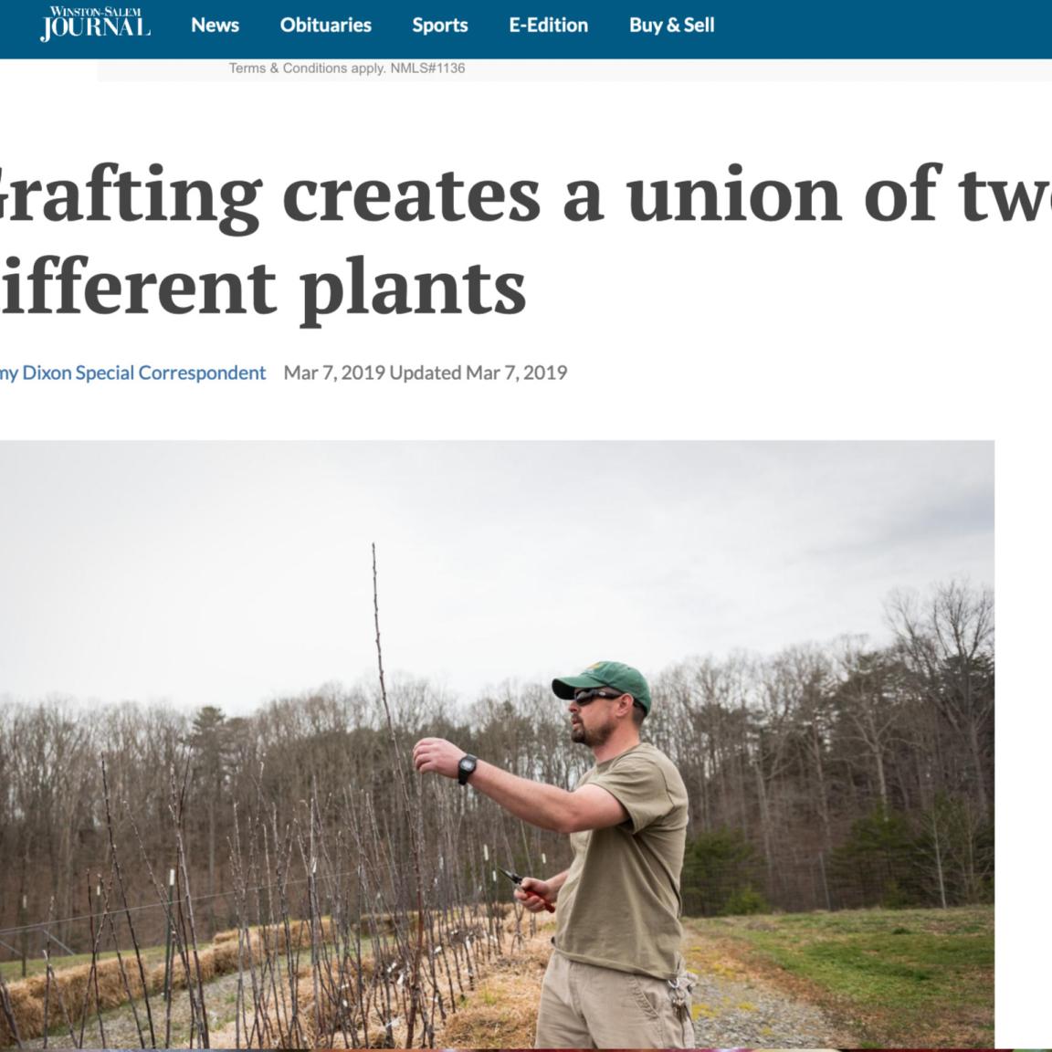 Article headline that says Grafting Creates a Union of Two Different Plants