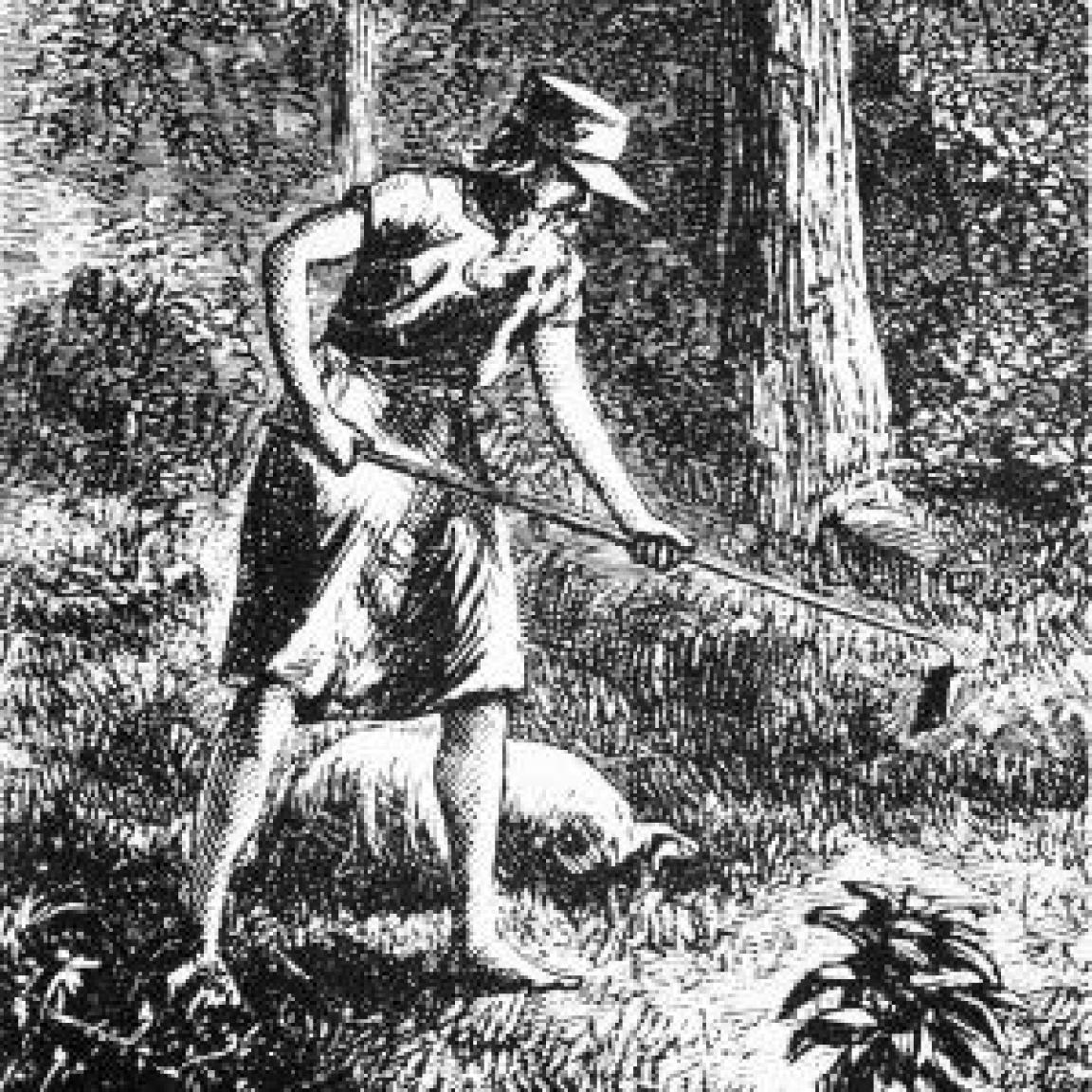 Drawing of man hoeing the ground in the forest