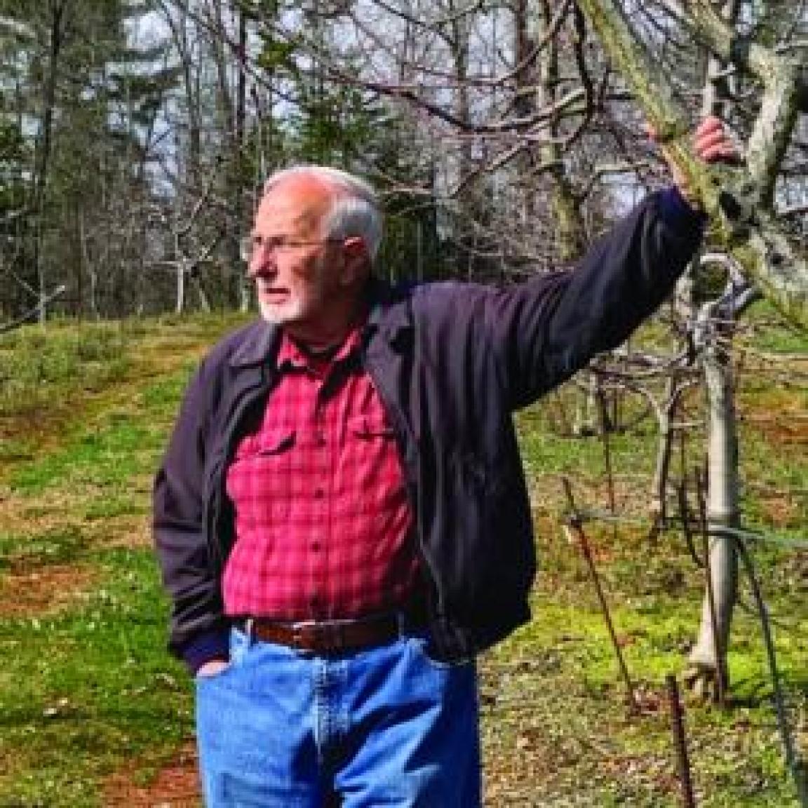 Man standing in apple orchard