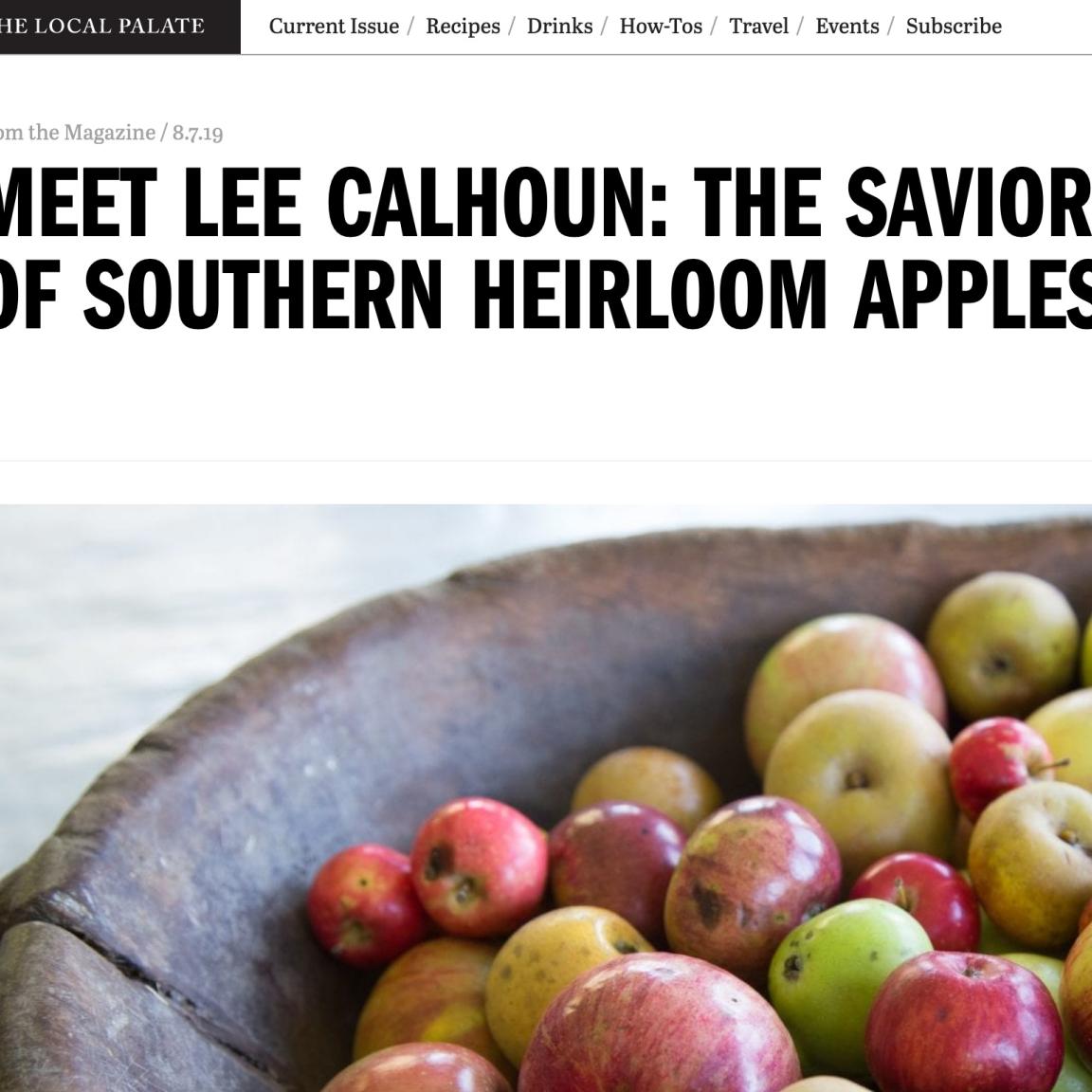 Article headline that says Meet Lee Calhoun The Savior of Southern Heirloom Apples