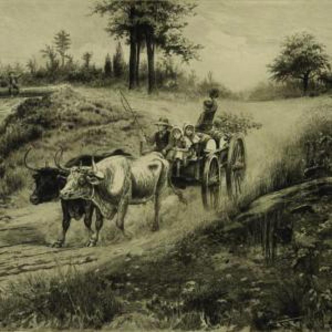 Illustration of oxen and a wagon bringing apples to market