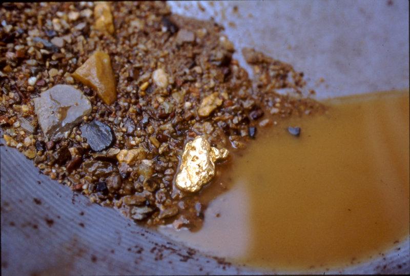 Reed Gold Mine Education Visits photo from the official site