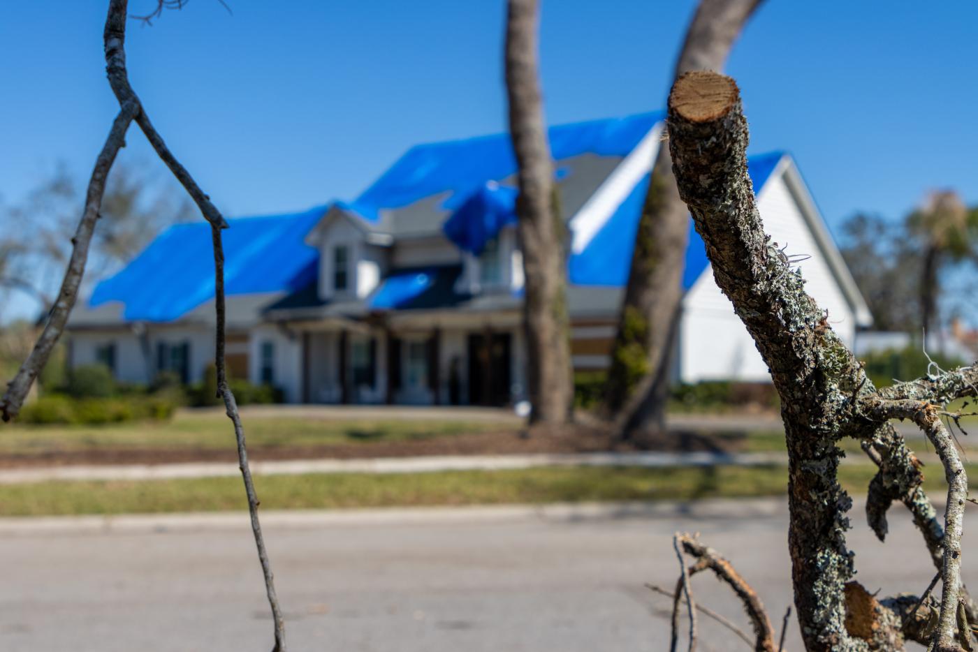 roofing with tree limb