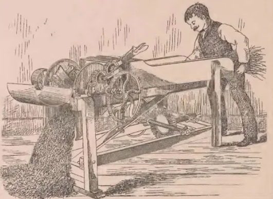 Sketch of a man using a fodder cutter.