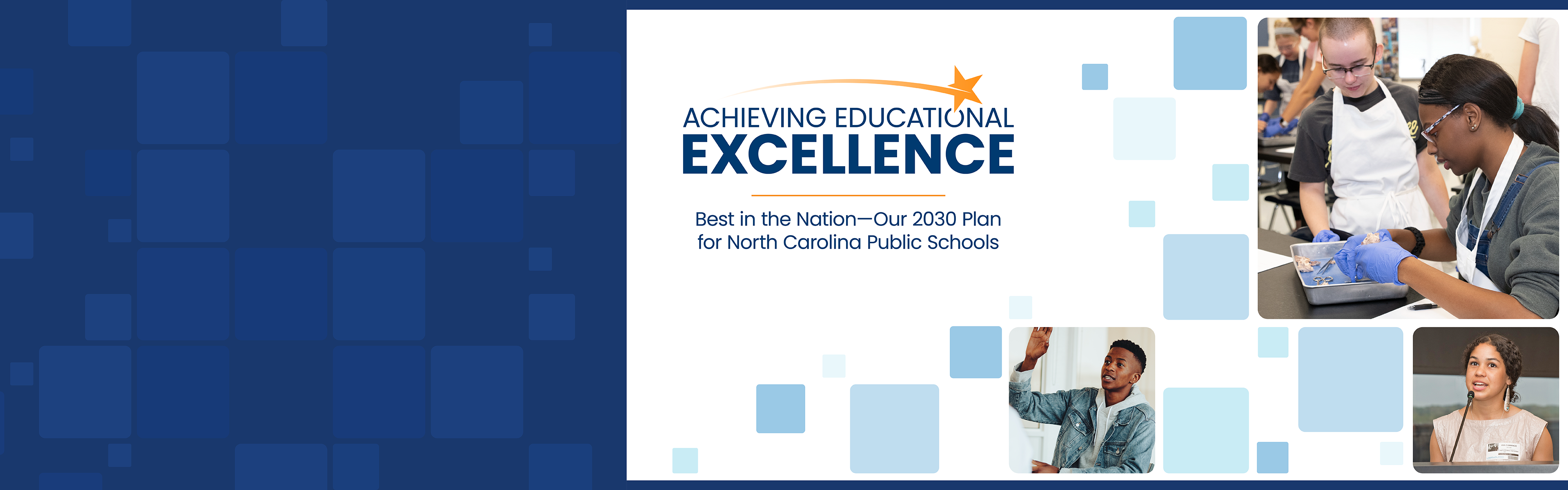 Achieving Educational Excellence logo with several scenes of students.
