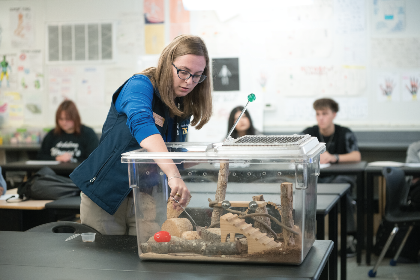 A woman reaches into a small animal habitat to feed a mouse.