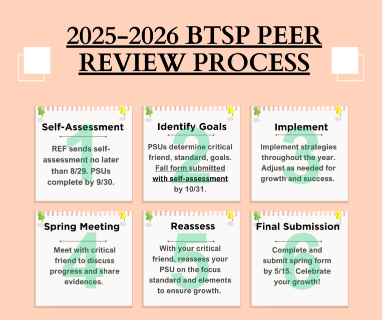 Steps for the Peer Review Process