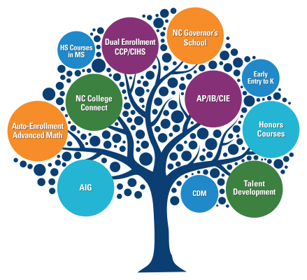 NCDPI Advanced Learning and Gifted Education tree infographic with program areas