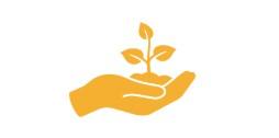 A hand holding a small plant.