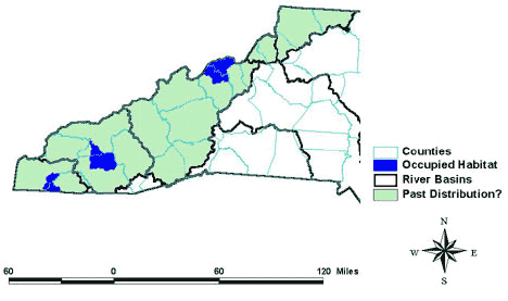 Wavyrayed Lampmussel Map habitat