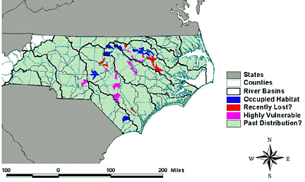 Yellow Lampmussel Map