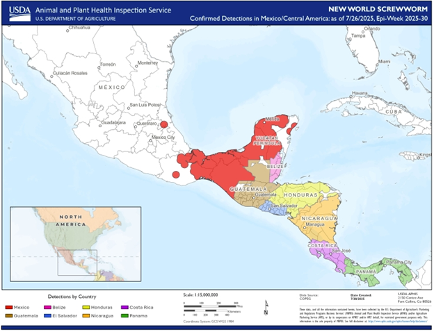 Map of recent detections of New World Screwworm in Central America and Mexico: Guatemala, Belize, El Salvador, Honduras, Nicaragua, Costa Rica, Panama and Mexico.