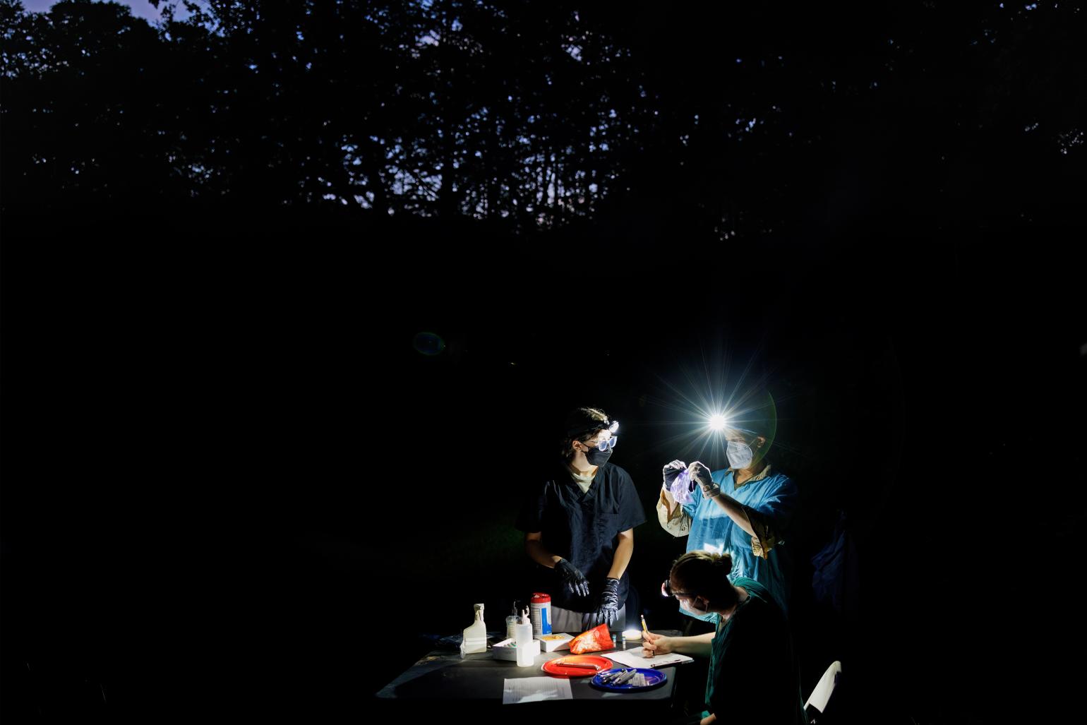 Data collection of bat by survey crew