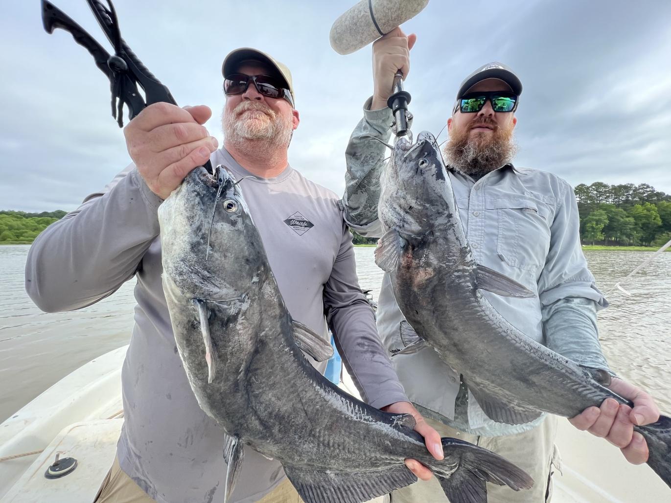 Biologists with Catfish