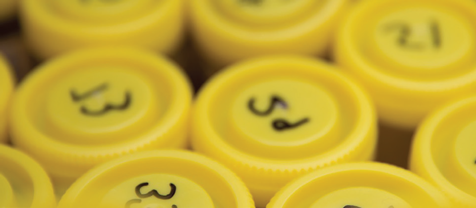 Test tubes with yellow tops with numbers marked in black