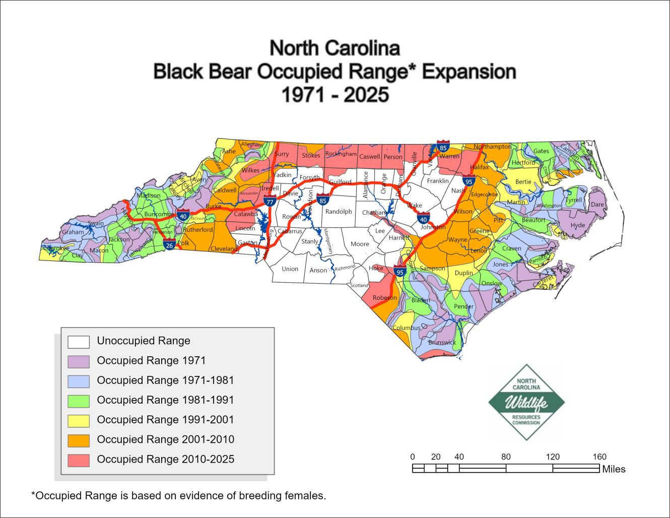 Map of North Carolina showing black bear occupied range expansion from 1971 to 2025. The map highlights occupied areas across the mountains, coastal plain, and northern counties in the piedmont. Different colors represent the time periods where bear range expansion occurred, with the range expanding inward from bear populations in the mountains and coast (e.g., white for unoccupied, purple for 1971, blue for 1971-1981, green for 1981-1991, yellow for 1991-2001, orange for 2001-2010, and pink for 2010-2025).