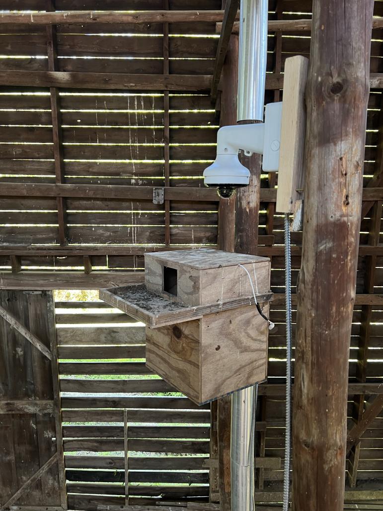 a barn owl nesting box viewed from the side