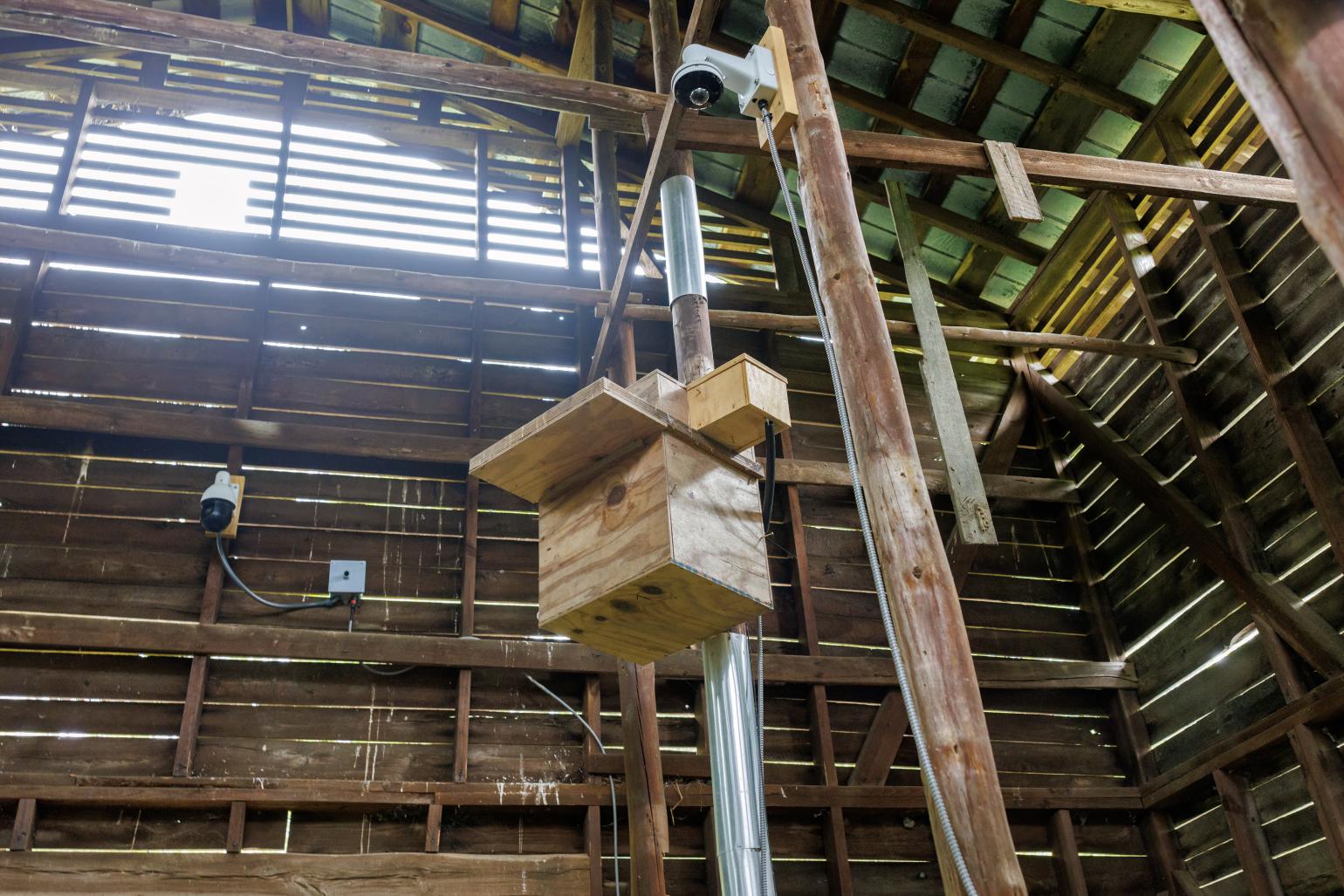 A nest box hanging on a pole in a barn