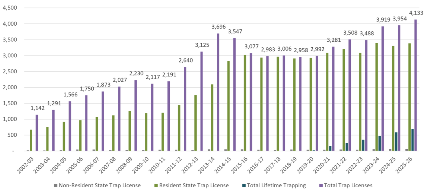 A bar chart showing the number of trappers from 2002 through the 2025-2026 season shows a steady increase over time.