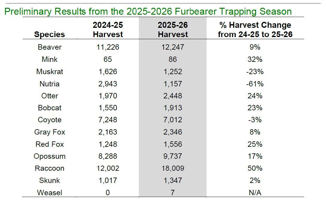 In the 2025-2026 Furbearer Trapping Season preliminary results table, harvest increased the most for Raccoons (51%) and Mink (32%), and decreased the most for Nutria (-61%) and Muskrat (-23%)