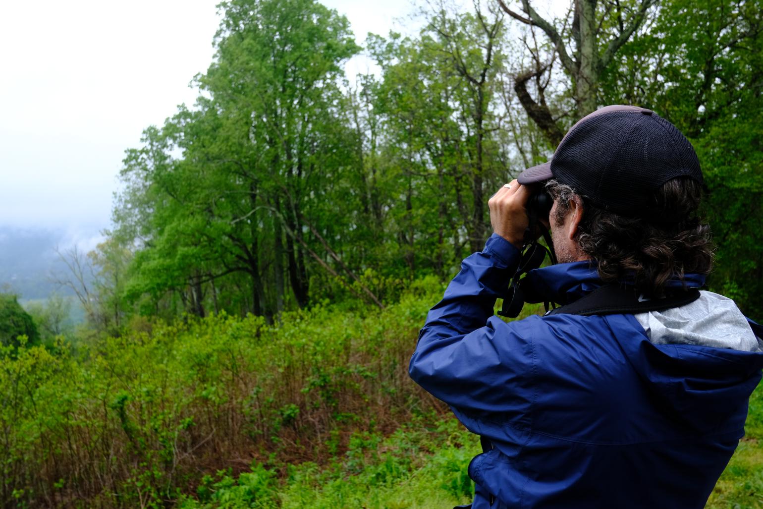 A volunteer uses binoculars to observe wildlife in a wooded, mountain area of N.C.