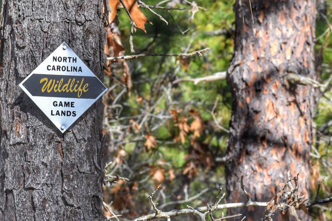 A North Carolina Wildlife Game Lands diamond-shaped sign is posted on a tree