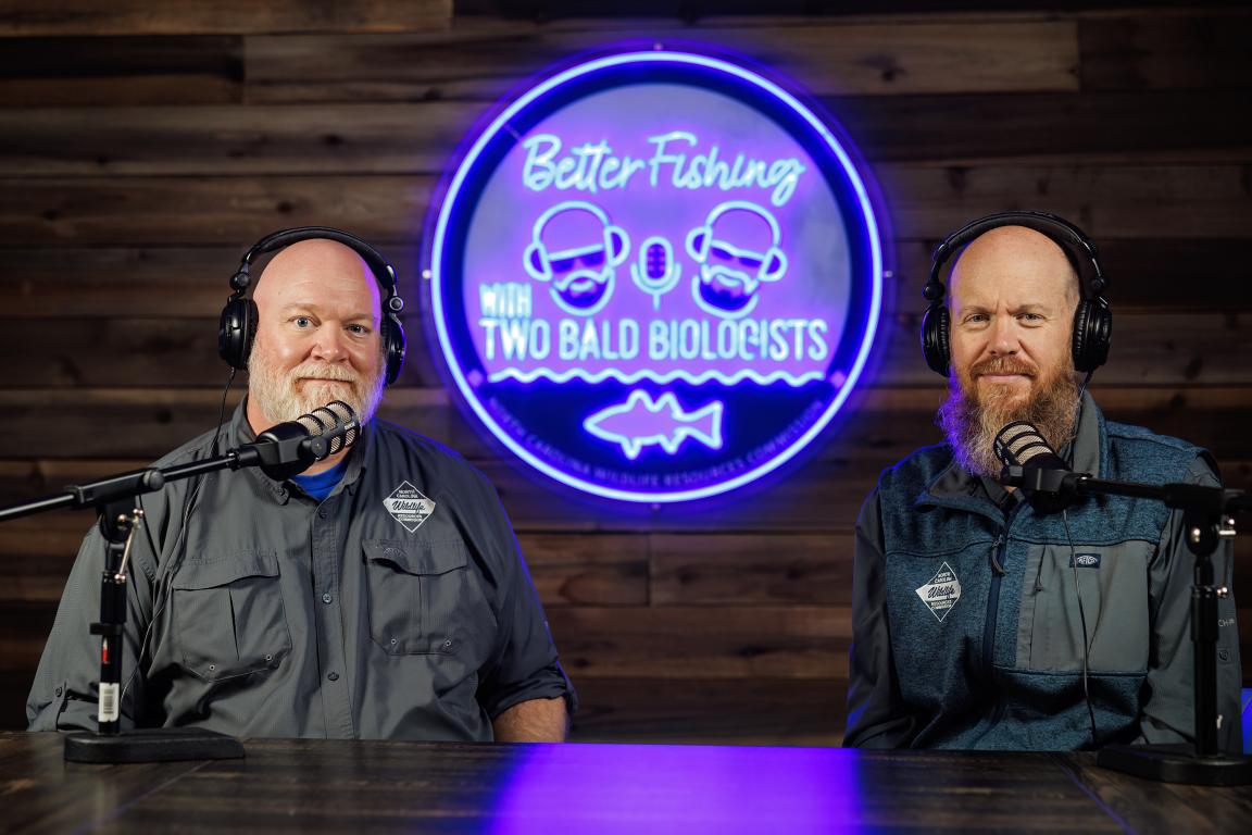 two bald men sit at a table with microphones and headphones. A purple neon sign reads Better Fishing with Two Bald Biologists.