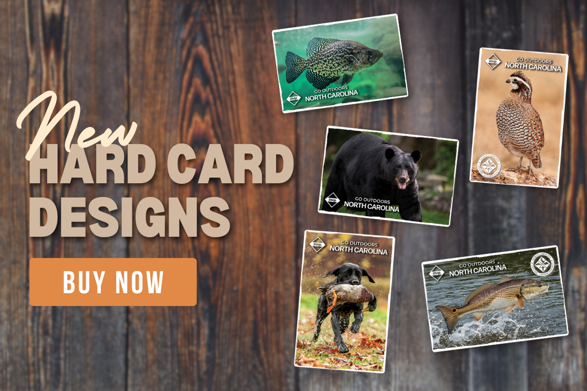 License hard card options.