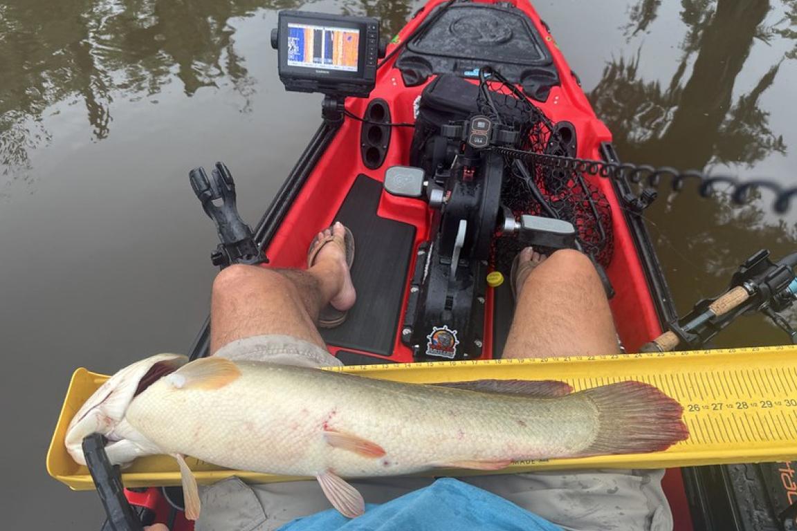 A kayak angler shows his bowfin fish he caught on the Neuse River in his lap.