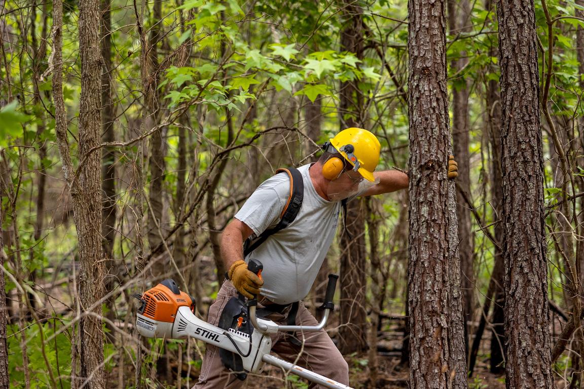 Biologist John Isenhour holds a piece of equipment while conducting habitat management on a piece of wooded property.