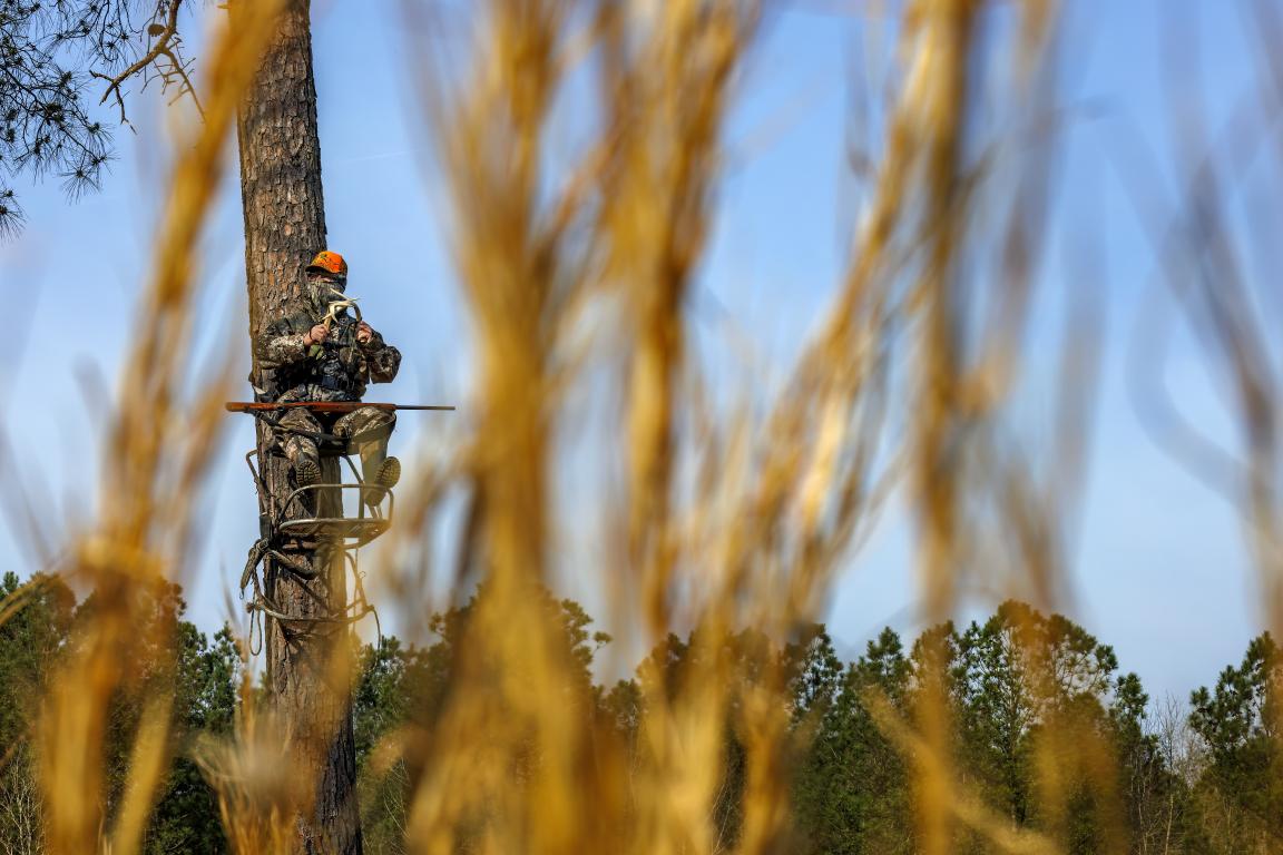 Through some tall grass, a hunter is visible in a tree deer stand during deer season.