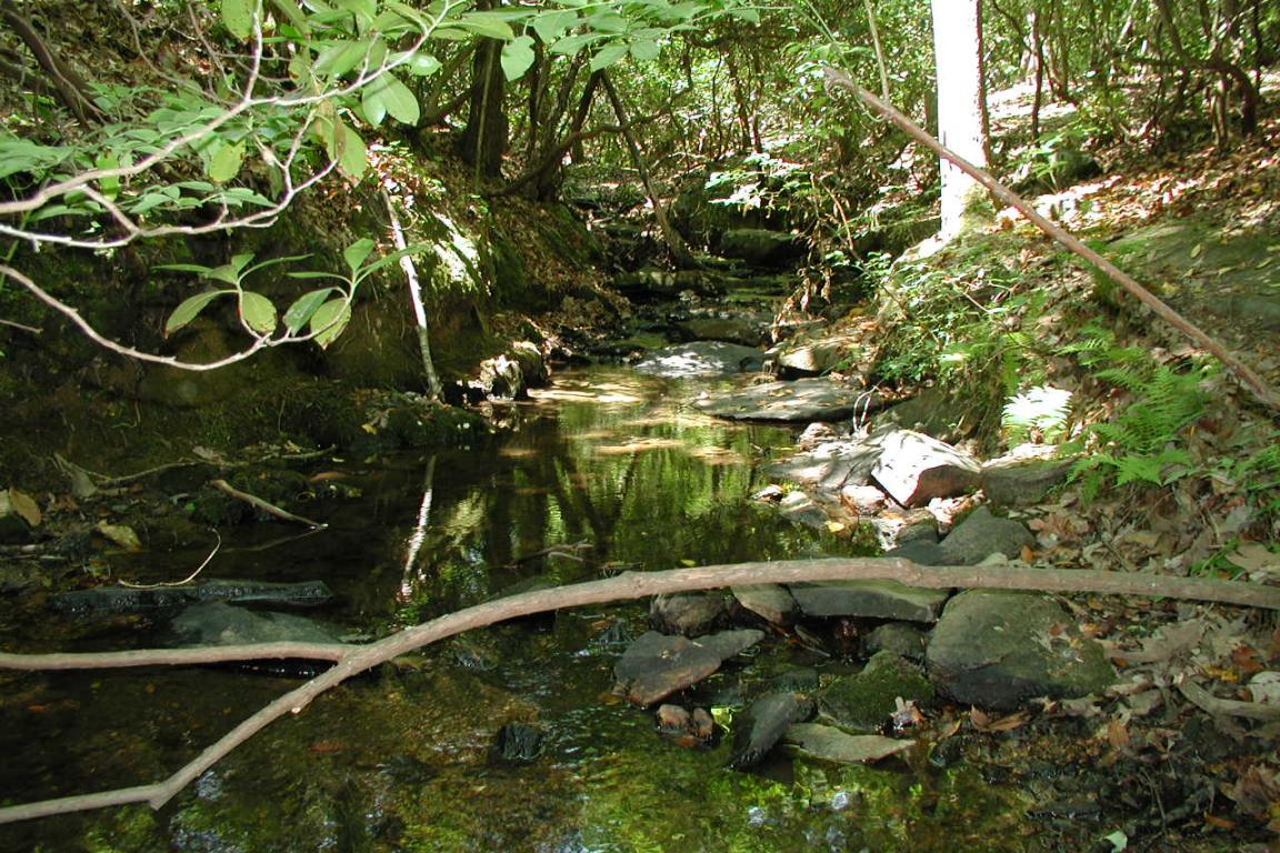 A stream with a pool of water with riffles on Crowders Creek
