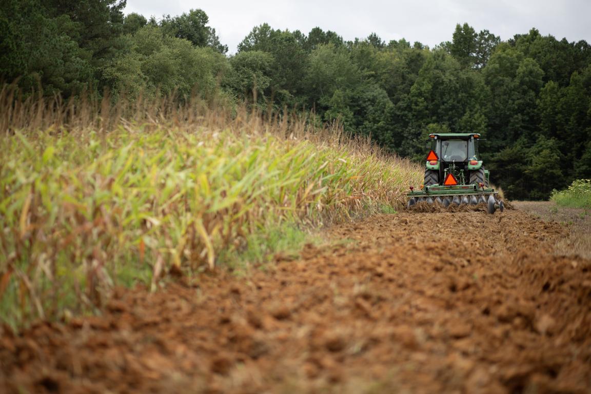 A tractor prepares a game land for dove season.