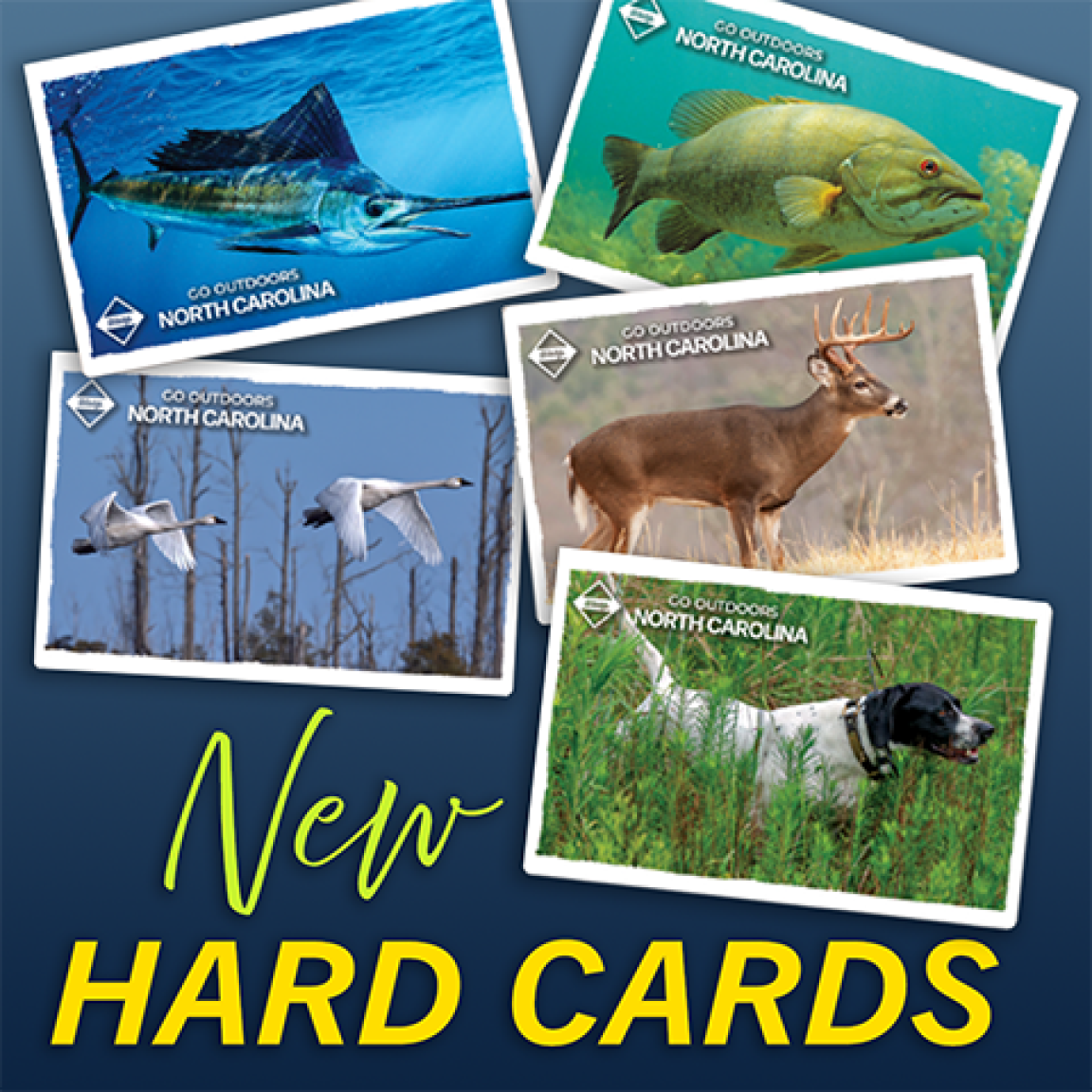 New Hard Cards feature aquatic species, birds, deer, and a hunting dog