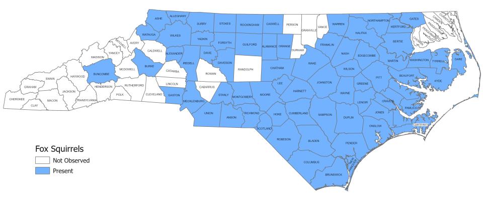 Fox Squirrel Distribution map