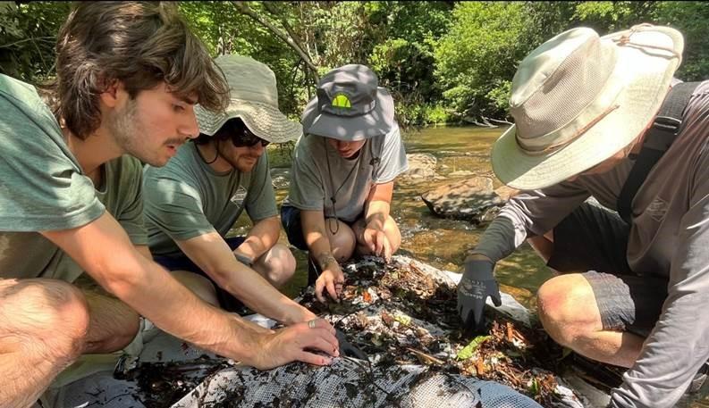 Four interns examine specimens outside by a body of water